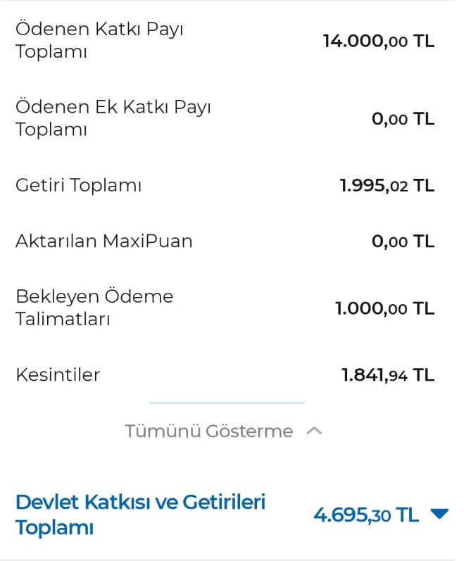 bes-planim En Başarılı Bireysel Emeklilik Fonları
